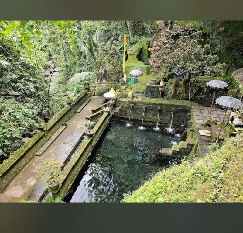 Ubud-Tgll: Telaga Waja Kenderan and Manuaba Waterfall Tour - An Authentic Bali Experience: What This Tour Offers