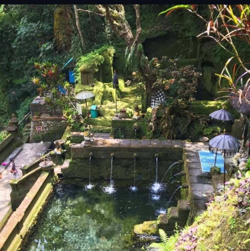 Ubud-Tgll: Telaga Waja Kenderan and Manuaba Waterfall Tour - What You Need to Know: Practical Details