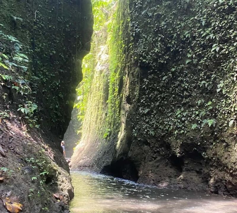 Ubud-Tgll: Telaga Waja Kenderan and Manuaba Waterfall Tour - The Sum Up: Is This Tour Worth It?