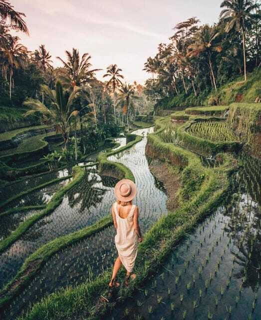 Ubud: The Artistic and Traditional Paradise of Bali - Artisans and Local Flavors: Tirta Art Shop and Coffee Plantation