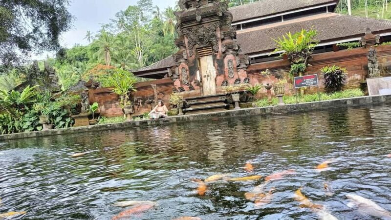Ubud: Tirta Empul, Rice Terrace, Waterfall and Custom Tour - An In-Depth Look at the Ubud Day Tour