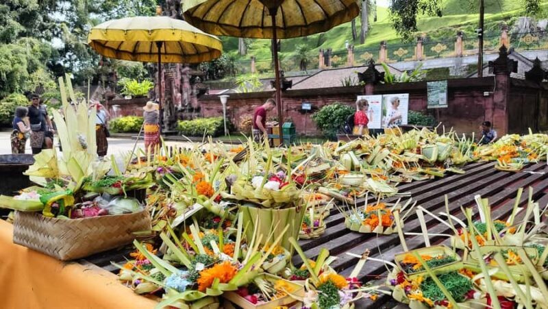 Ubud: Tirta Empul, Rice Terrace, Waterfall and Custom Tour - A Comprehensive Look at the Ubud Tour Experience