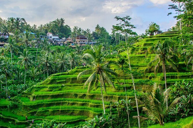 Ubud Tirta Empul Temple Blissful Cleansing - Whats Included and What to Expect  