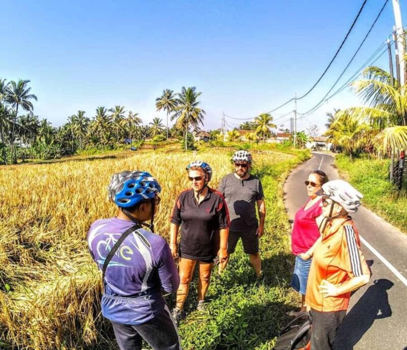 Ubud: Tirta Empul Temple E-Bike Tour with Lunch - The Sacred Tirta Empul Temple and Purification Ritual