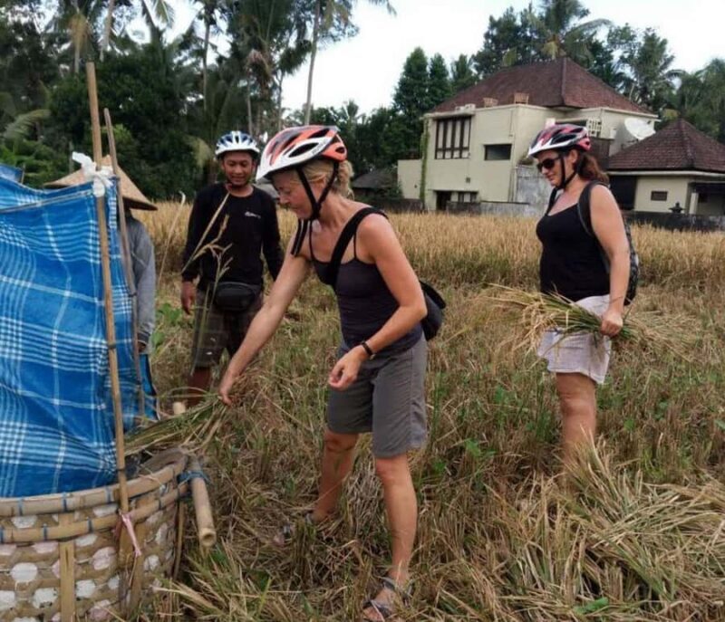 Ubud: Tirta Empul Temple E-Bike Tour with Lunch - Delightful Lunch and Relaxation