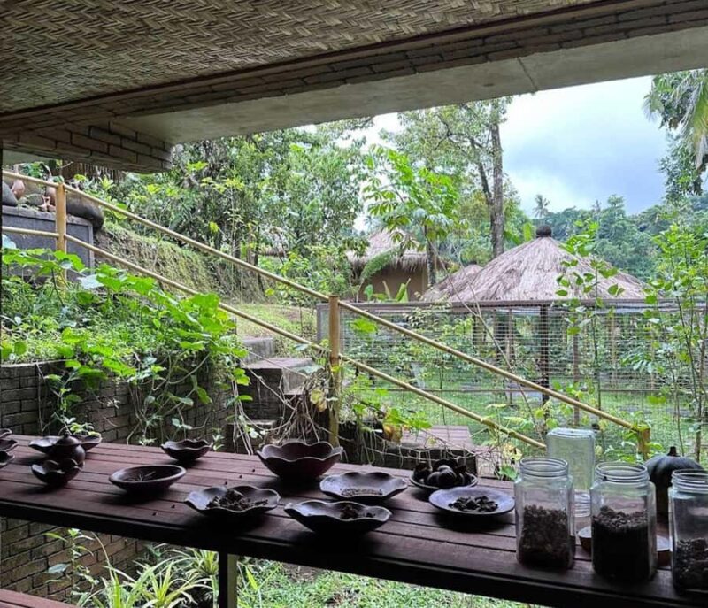 Ubud: Tirta Empul Temple E-Bike Tour with Lunch - Why This Tour Is a Great Choice
