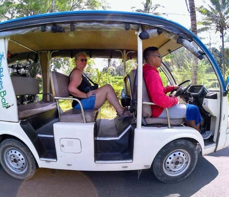 Ubud: Tirta Empul Temple E-Bike Tour with Lunch - Who Should Consider This Tour?