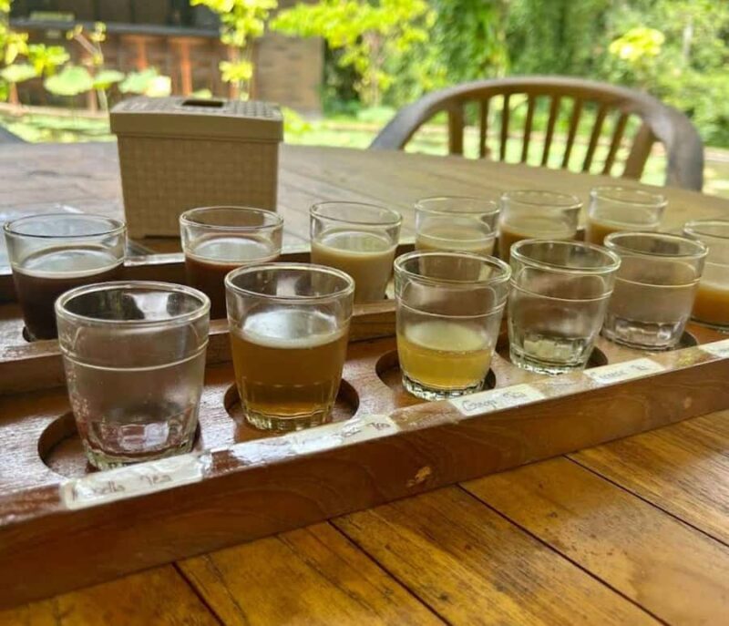 Ubud: Tirta Empul Temple E-Bike Tour with Lunch - A Detailed Look at the Ubud E-Bike Tour Experience