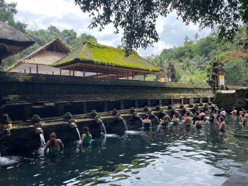 Ubud: Tirta empul temple, Rice terrace and Waterfall - Good To Know