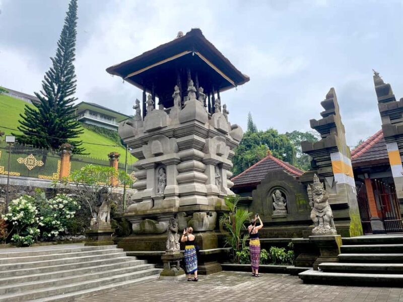 Ubud: Tirta empul temple, Rice terrace and Waterfall - Practical Details: What’s Included and How the Day Unfolds