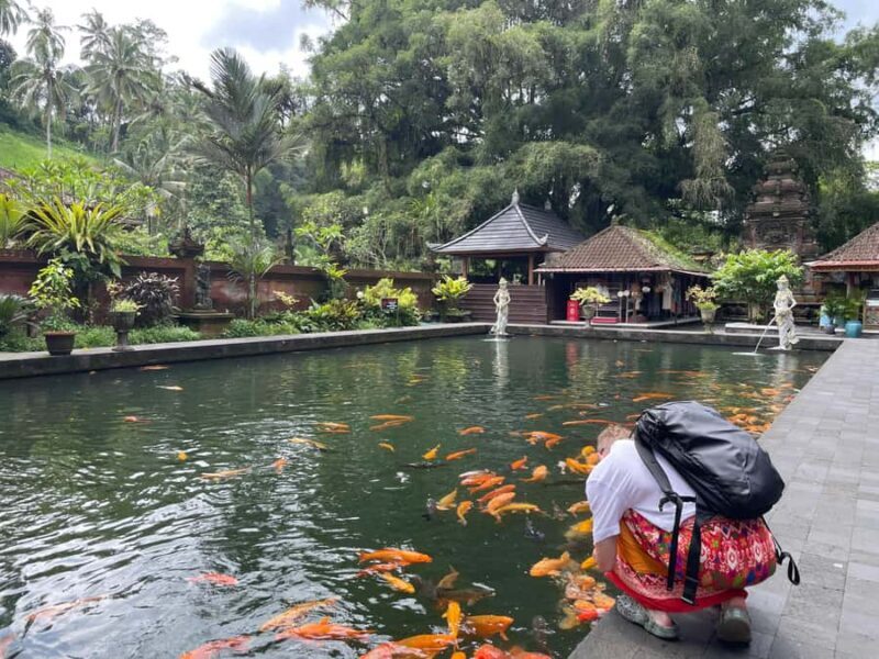 Ubud: Tirta empul temple, Rice terrace and Waterfall - Who Should Book This Tour?