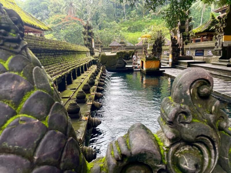 Ubud: Tirta empul temple, Rice terrace and Waterfall - Good To Know