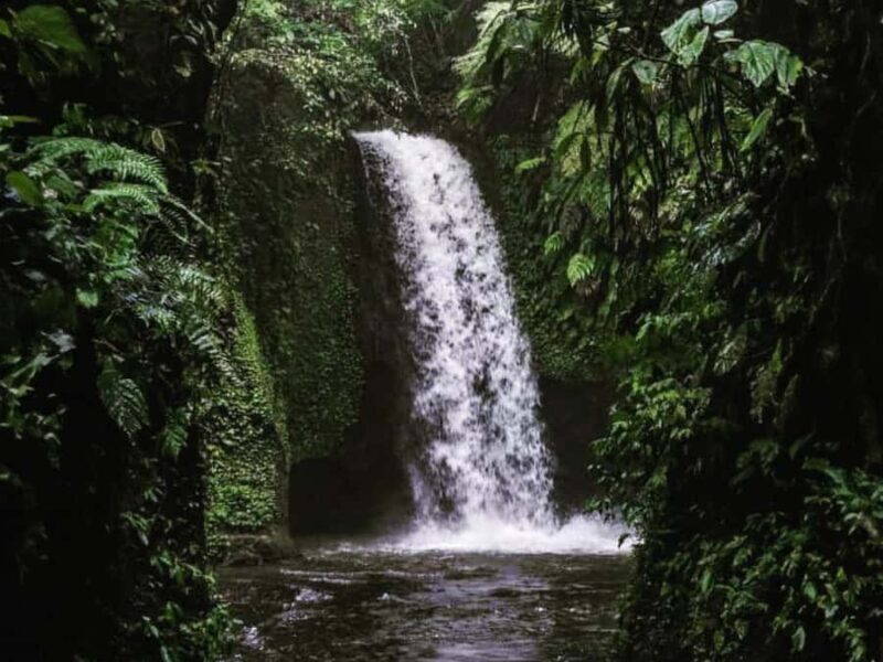Ubud: Tirta Empul Temple, Rice Terraces, and Waterfall Tour - Good To Know