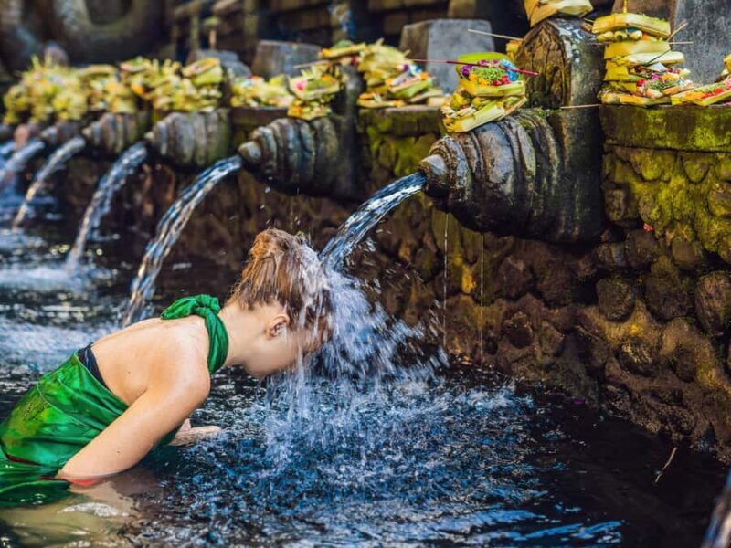 Ubud: Tirta Empul Temple, Rice Terraces, and Waterfall Tour - The Practicalities: What to Expect