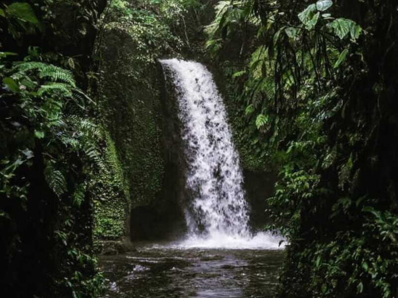 Ubud: Tirta Empul Temple, Rice Terraces, and Waterfall Tour - Authentic Experiences & Hidden Gems