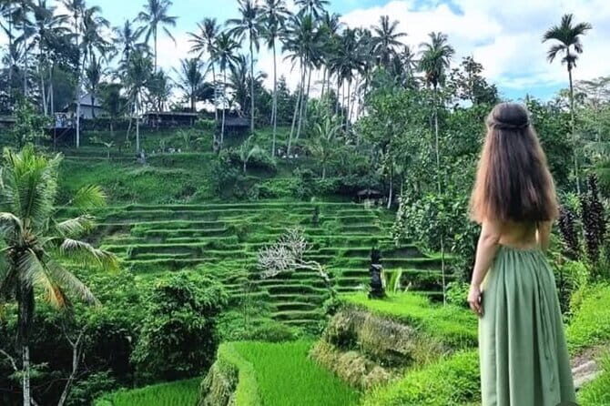 Ubud Tirta Empul Temple with Rice Terrace and Bali Jungle Swing - What’s Included and What’s Not