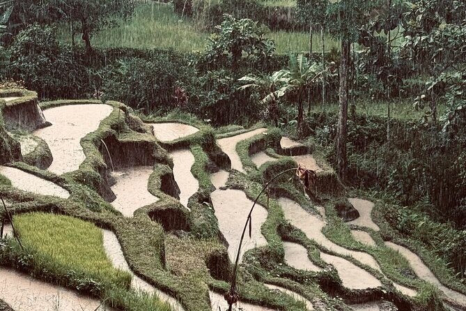 Ubud Top Tours to Discover Balis Cultural and Natural Wonders - Good To Know