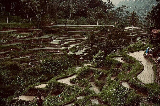 Ubud Top Tours to Discover Balis Cultural and Natural Wonders - Exploring the Itinerary in Detail