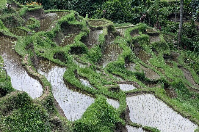 Ubud Top Tours to Discover Balis Cultural and Natural Wonders - Final Thoughts