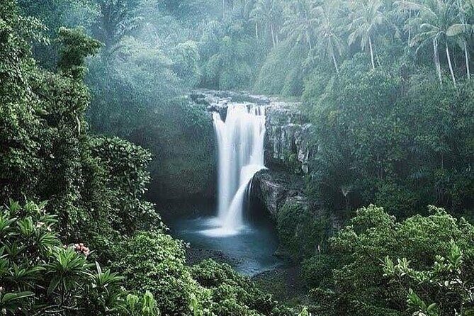 Ubud Top Tours to Discover Balis Cultural and Natural Wonders - The Sum Up