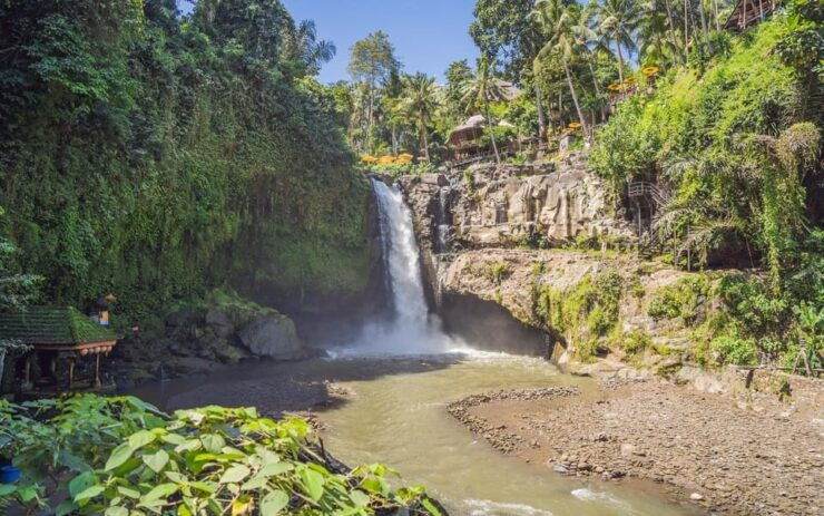 Ubud Tour Bali: Nature, Waterfall, and Cultural Experience - Itinerary Highlights