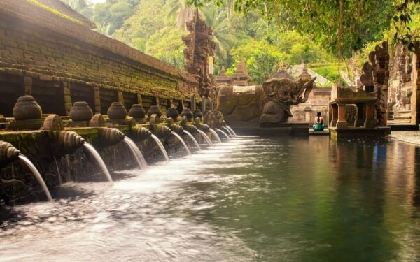 Ubud Tour Bali: Nature, Waterfall, and Cultural Experience - Booking and Transportation Details