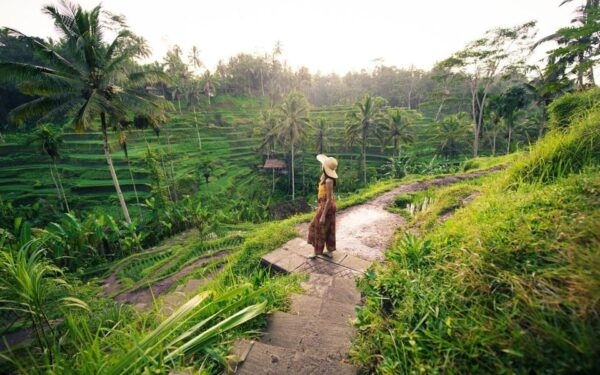 Ubud Tour Bali: Nature, Waterfall, and Cultural Experience - Questions You May Have