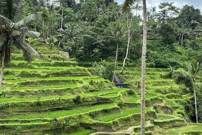 Ubud Tour - Best Ubud Tour - Itinerary Overview