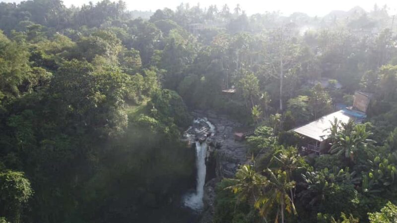 Ubud Tour Include Ticket Monkey Forest Rice Terrace and more - FAQ