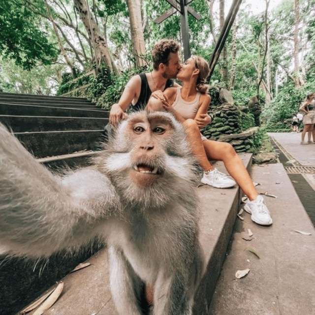 Ubud Tour: Lovely Day With Highlight of Ubud - Personalization Options
