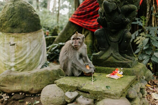 Ubud Tour: Monkey Forest, Rice Terrace, Waterfall, Water Temple - FAQs