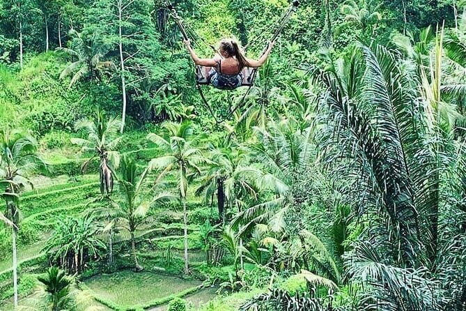 Ubud Tour: Monkey Forest, Rice Terrace, Waterfall, Water Temple - The Sum Up