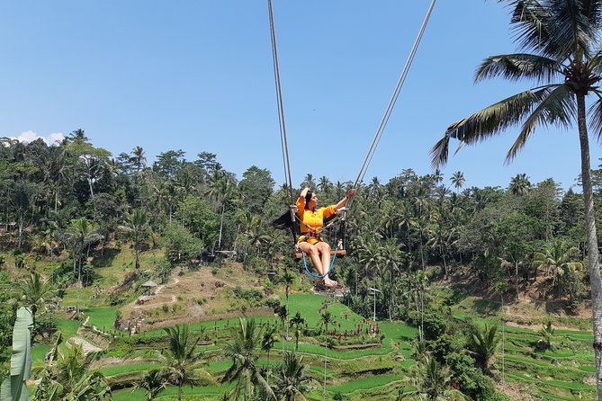 Ubud Tour, Monkey Forest, Swing, Water Temple and Waterfall - Exploring Monkey Forest