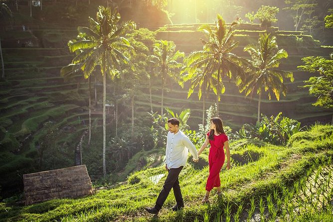 Ubud Tour - Monkey Forest, Temple, Waterfall, and Rice Terrace - Monkey Forest Experience