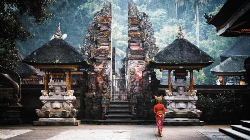 Ubud Tour: Monkey Forest, Water Temple & Jungle Club Fun Day - Who Is This Tour Best Suited For?