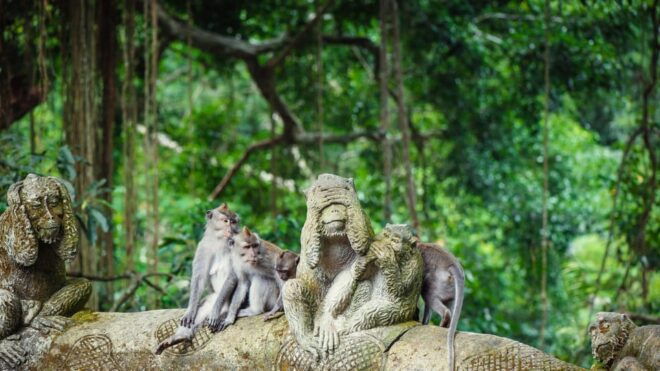 Ubud: Tour Quad Bike, Monkey Forest, Tegalalang Rice Terrace - Visit the Monkey Forest