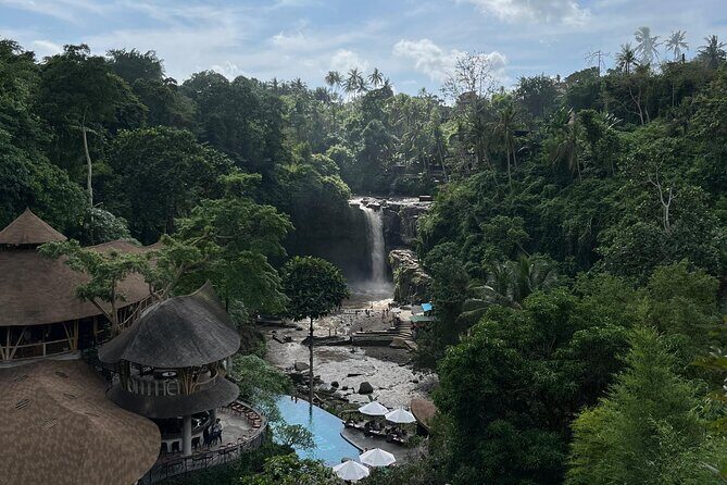 Ubud Tour Sacred Temple Waterfall Rice Terrace and Art Village - A Detailed Look at the Ubud Tour