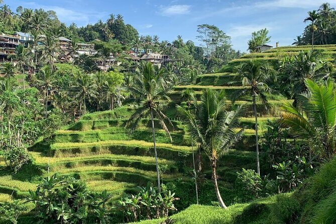 Ubud Tour Sacred Temple Waterfall Rice Terrace and Art Village - Good To Know