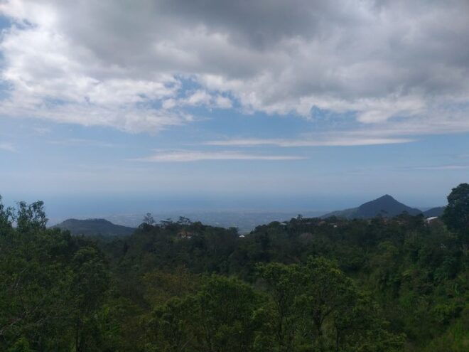 Ubud Tour - Insider Tips