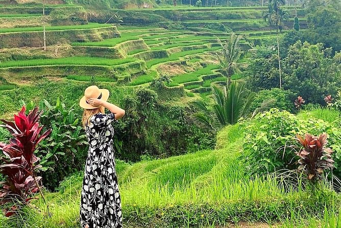 Ubud Tour - Ubud Highlight - Private Tour All Inclusive - Tour Itinerary