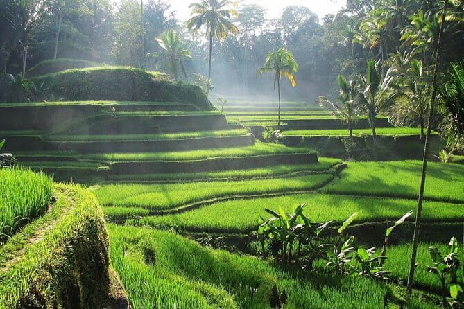 Ubud Tour Water Temple with Jungle Swing - Good To Know