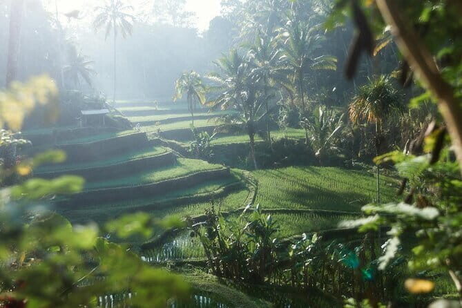 Ubud Tour Water Temple with Jungle Swing - An In-Depth Look at the Ubud Water Temple and Jungle Swing Tour