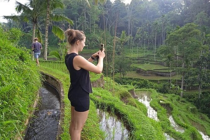 Ubud Tour with all includes - The Sum Up