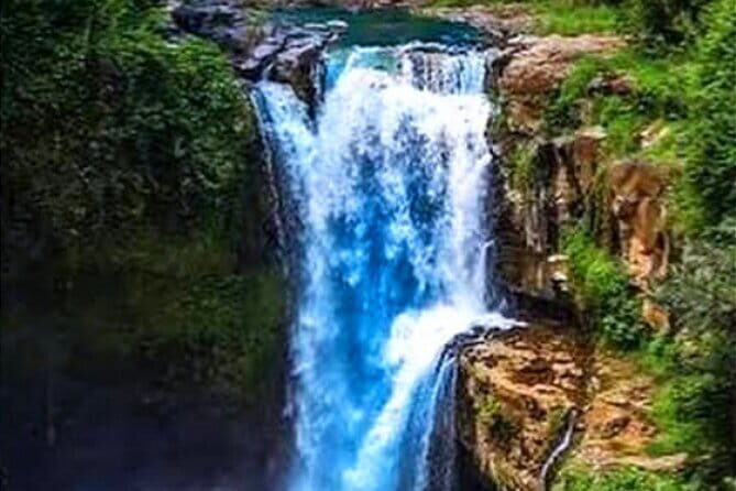 Ubud Tour with all includes - Why This Tour Offers Great Value