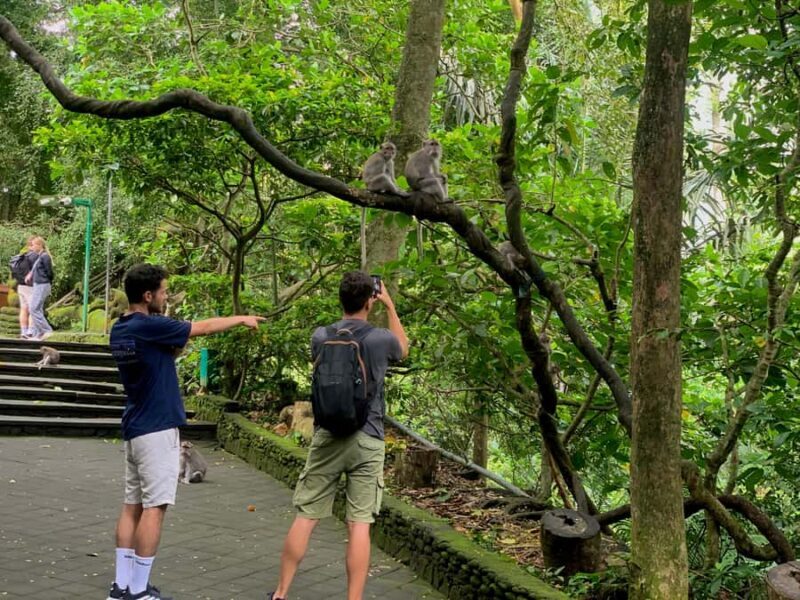 Ubud Tour with Optional English, Spanish and Italian Guide - Final Thoughts