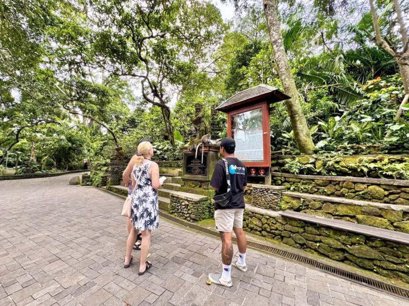 Ubud Tour with Optional English, Spanish and Italian Guide - Final Thoughts