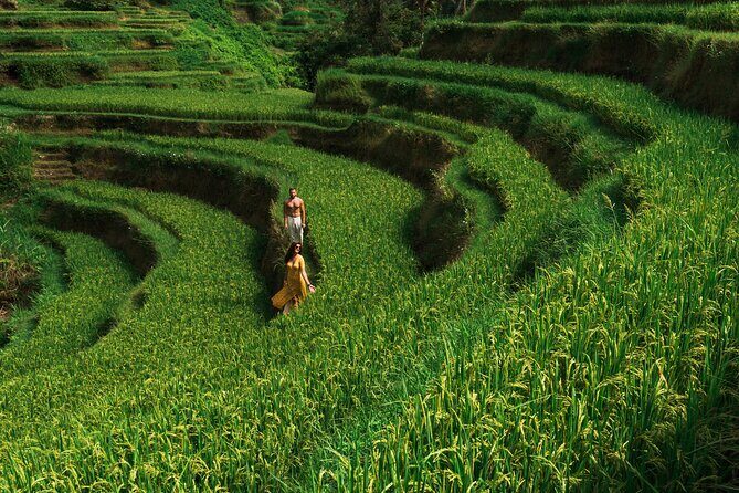 Ubud Tour with Swing, Waterfalls, Rice Terraces & Monkey Forest - FAQs