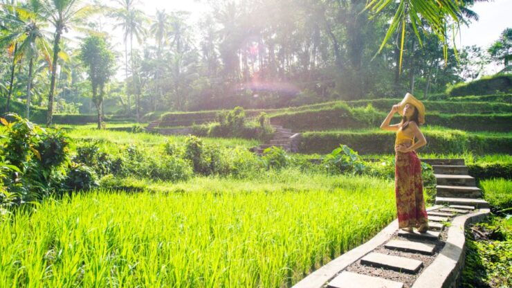 Ubud Tours All In : Monkey Forest, Tegalalang, Tirta Empul - Experience Highlights in Ubud