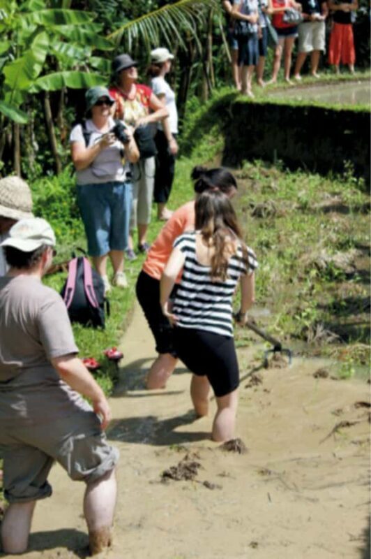 Ubud: Traditional Rice Farming Experience - Exploring the Heart of Balinese Agriculture