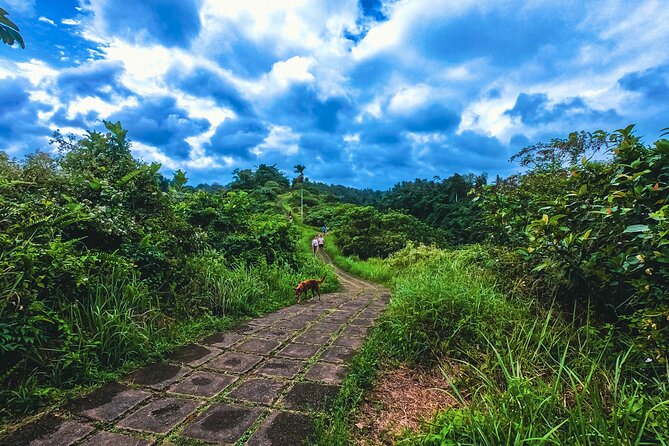 Ubud Trekking and Traditional Massage Experience - Tour Highlights